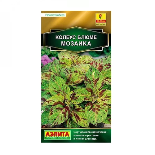 Колеус Блюме Визард Мозаика 5шт_10
