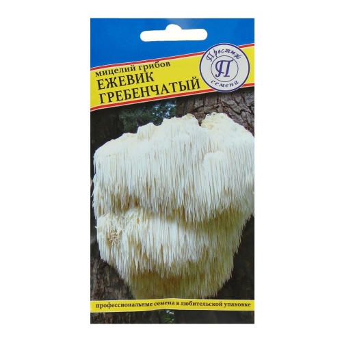 Гриб Ежевик гребенчатый (Ямабуши)  12пал_10