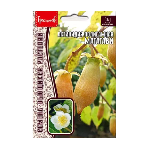 Актинидия Мататаби полигамная 20шт_10