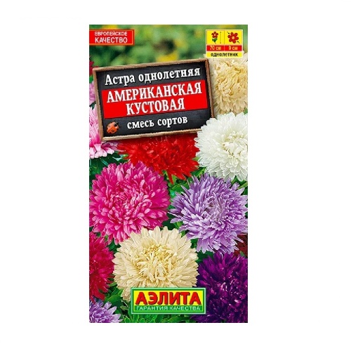 Астра Американская кустовая смесь  0_2гр_10