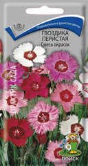Гвоздика Перистая Смесь  0_3гр_10