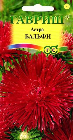 Астра Бальфи  0_3гр_10