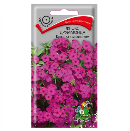 Флокс друммонда Красотка в малиновом  0_1гр_10