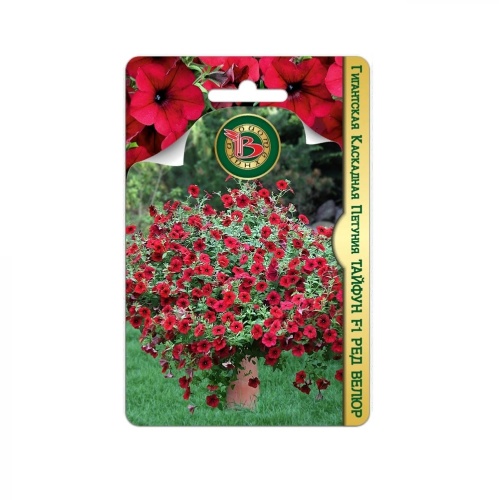 Петуния Тайфун F1 Ред Велюр каскадная  5шт_5_10