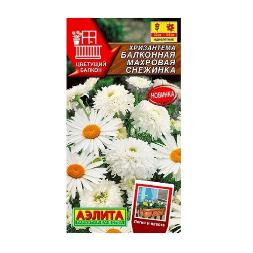 Хризантема Махровая снежинка балконная  0_2 г_10