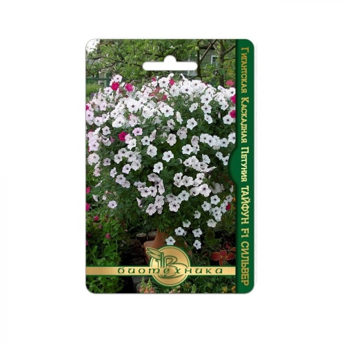 Петуния Тайфун F1 Сильвер каскадная  5шт_5_10