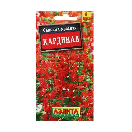 Сальвия Кардинал ярко-красная 0_1гр _10