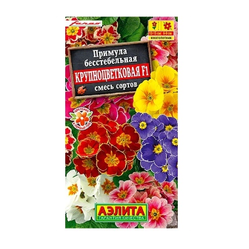 Примула Крупноцветковая F1 смесь 7 шт _10