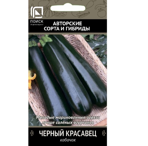 Кабачок Черный красавец  12шт_10
