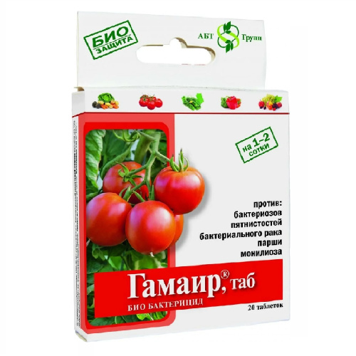 ГАМАИР таб 20шт_100