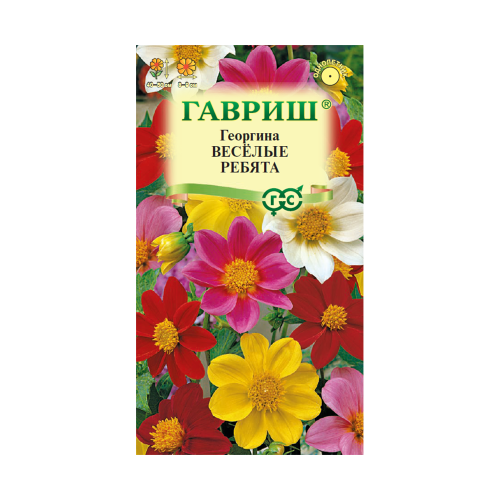 Георгина Веселые ребята  0_3гр_10