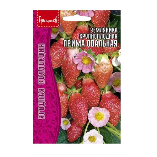 Земляника Прима Овальная крупноплодная 20 шт _10