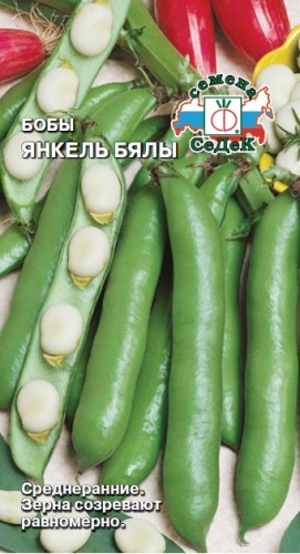 Бобы Янкель Бялы  10гр_10