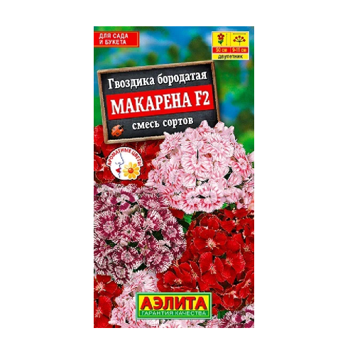 Гвоздика Макарена турецкая F2 0_1гр  _10