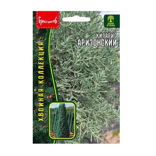 Кипарис  Аризонский 0_1г _10