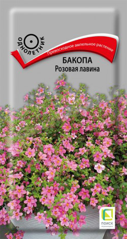 Бакопа Розовая лавина  5шт_10