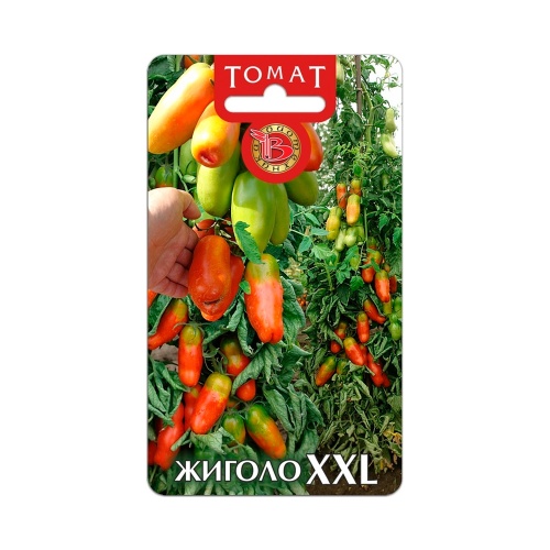 Томат Жиголо XXL  10шт_5_10