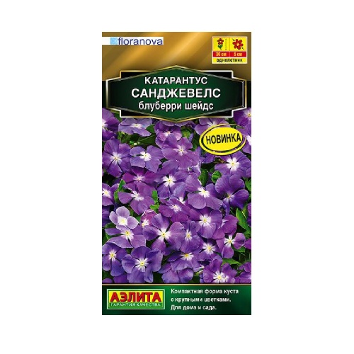 Катарантус Санджевелс блуберри шейдс  7шт_10