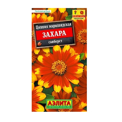 Цинния Захара Санберст  5шт_10