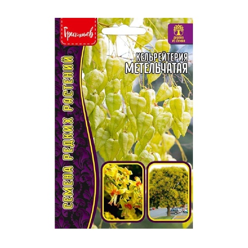 Кельрейтерия Метельчатая 5шт _10