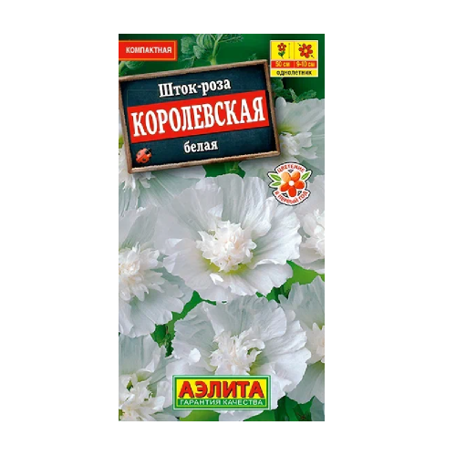 Шток-роза Королевская белая 10шт_10