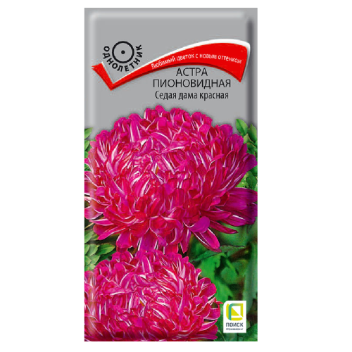 Астра пионовидная Седая дама красная  0_3гр_10