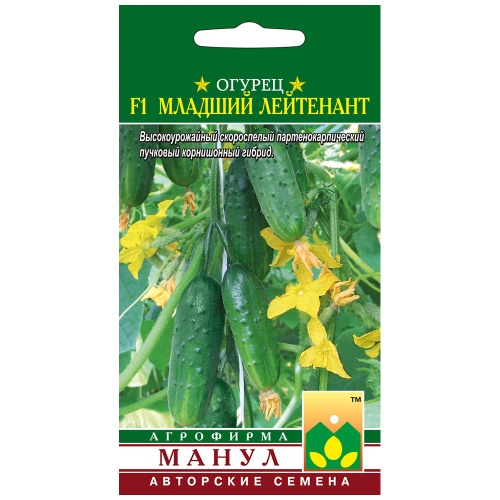 Огурец Младший лейтенант F1  10шт_10_50
