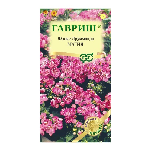 Флокс друммонда Магия  8шт_10
