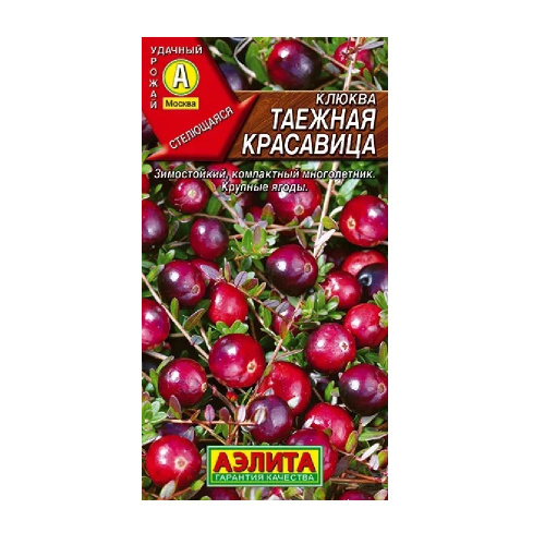 Клюква крупноплодная Таежная красавица  0_02гр_10