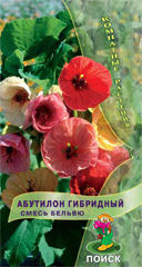 Абутилон гибридный Смесь Бельвю  0_1гр_10