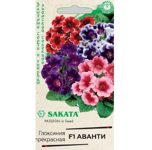 Глоксиния Аванти смесь F1  4шт_10