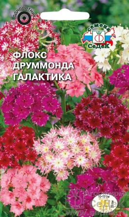 Флокс Друммонда Галактика низкорослая смесь  0_25гр_10