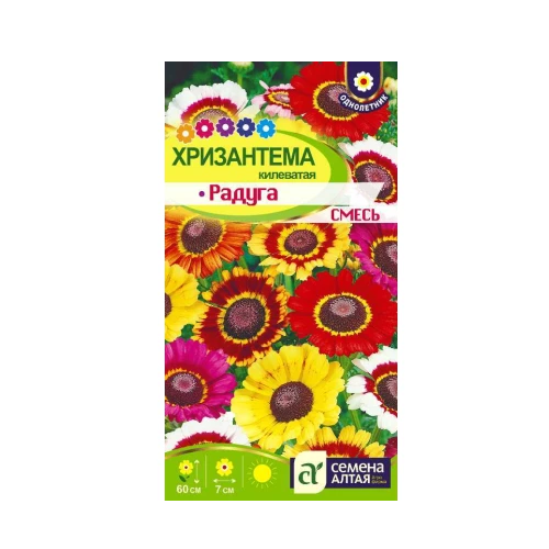 Хризантема Радуга килеватая 0_3гр _10
