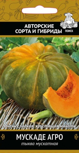 Тыква Мускаде Агро 10шт _10