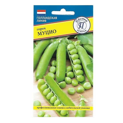 Горох Муцио  4гр_10