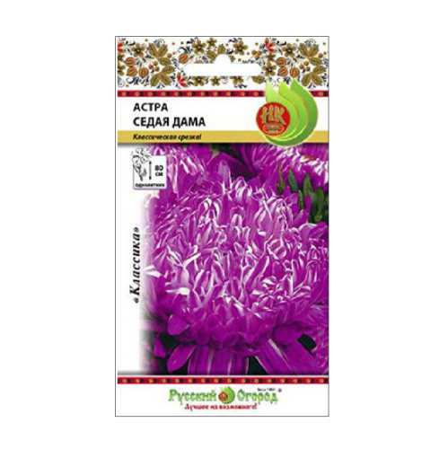 Астра Седая дама  0_3гр_10_200