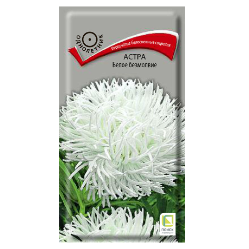 Астра Белое безмолвие  0_3гр_10