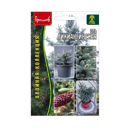 Ель ликиангинская (Picea likiangensis)  15шт_10