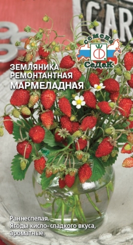 Земляника Мармеладная ремонтантная  0_04гр_10_100