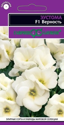 Эустома Верность белая F1  4-5шт_10