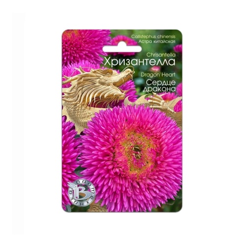 Астра Хризантелла Сердце дракона 30шт _5_10