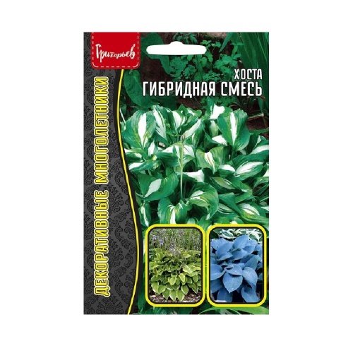 Хоста гибридная  0_02гр_10