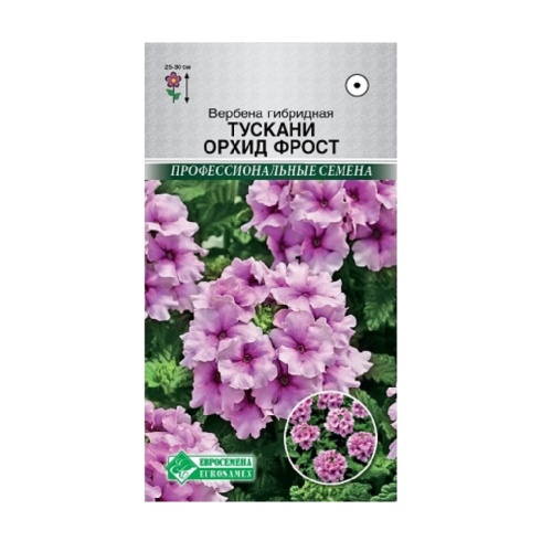 Вербена Тускани Орхид Фрост гибридная 10шт_10