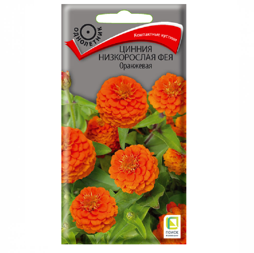 Цинния Фея Оранжевая низкорослая  0_1гр_10