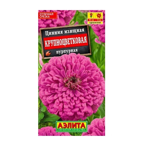 Цинния Крупноцветковая пурпурная 0_3гр  _10