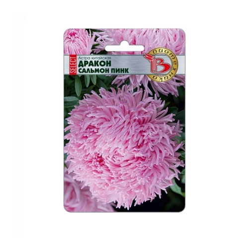 Астра Дракон селект Сальмон Пинк  30шт_5