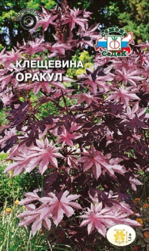 Клещевина Оракул обыкновенная  1гр_10