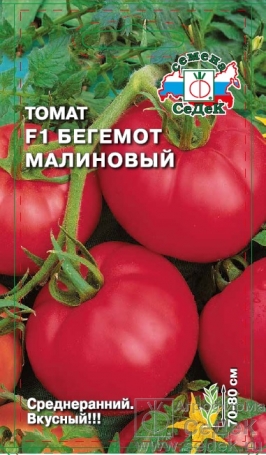 Томат Бегемот малиновый F1  0_05гр_10