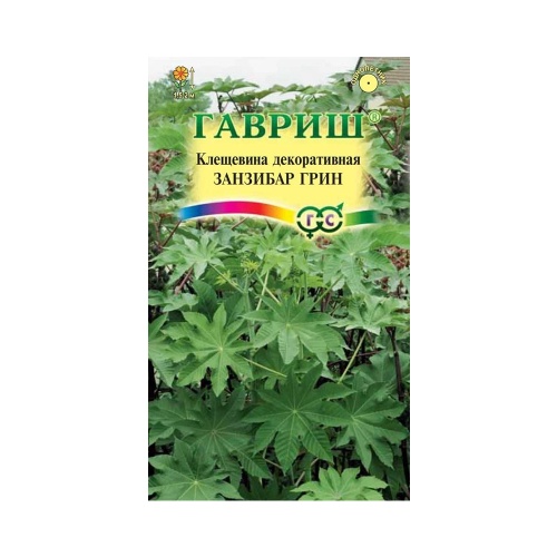 Клещевина Занзибар Грин  5шт_10