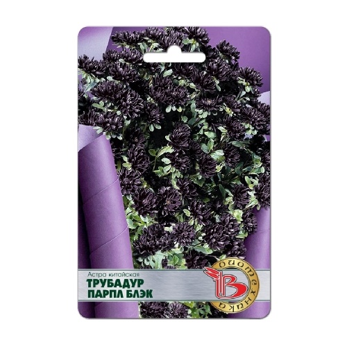 Астра Трубадур Парпл Блэк китайская  20шт_5